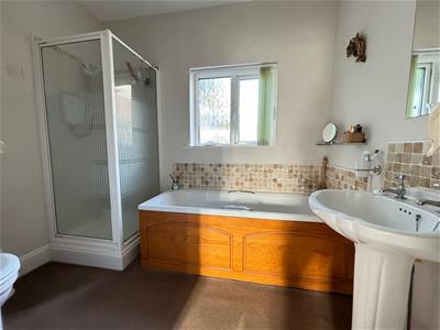 Picture 7